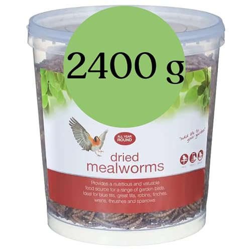 Blumixx Mehlwürmer für Wildvögel und Kleintiere – 2400g Eimer, Getrocknet & Nahrhaft – Ideal für Vogelfutter im Winter und als Nahrungsergänzung für Haustiere von Blumixx