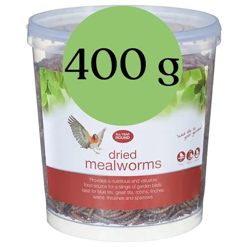 Blumixx Mehlwürmer für Wildvögel und Kleintiere – 400g Eimer, Getrocknet & Nahrhaft – Ideal für Vogelfutter im Winter und als Nahrungsergänzung für Haustiere von Blumixx