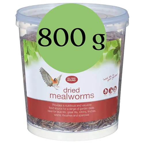 Blumixx Mehlwürmer für Wildvögel und Kleintiere – 800g Eimer, Getrocknet & Nahrhaft – Ideal für Vogelfutter im Winter und als Nahrungsergänzung für Haustiere von Blumixx