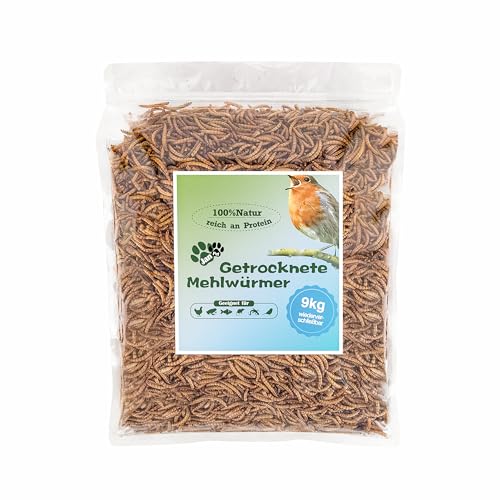 Blumixx Jan-Pet Premium Mehlwürmer getrocknet 9 kg, 9 Beutel x 1 kg wiederverschließbar, Vogelfutter Wildvogelfutter Ganzjahresfutter, Igelfutter, Eichhörnchen Futter, Fisch Futter, Wachtelfutter von Blumixx