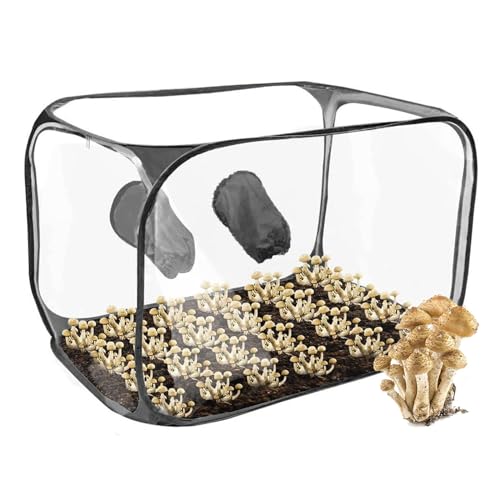 Pilz-Stillluftbox mit 2 Armlöchern, große, transparente Standluftbox für Pilzzucht, Set, faltbare Pop-Up-Pilz-Pflanzbox mit Reißverschluss für drinnen und draußen (90,2 x 60,9 x 60,9 cm) (schwarz) von BlyeMichdi