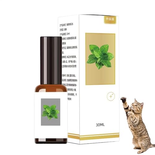 Bmdjdq Catnip Spray Flasche, Joy Cat Lockant, Beruhigungsnebel, natürliche Extrakte, hohe Potenz, 12 x 6 cm, für Zuhause, Reisen von Bmdjdq