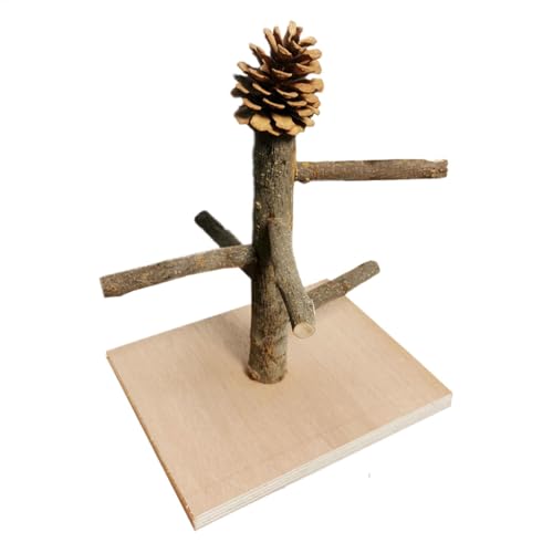 Papageienspielplatz, Spielplatzkäfig, Übungsspielzeug, Papageienständer, aus Holz, einfach zu montieren, verstellbare Höhe, 22 cm, für Nymphensittiche, Sittiche, Lovebird von Bmdjdq