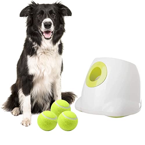 BOT Automatischer Ballwerfer für Hunde, inkl. 3Stk Hundebälle. Interaktives Hundespielzeug für Zuhause und Draußen (Ifetch Maxi 6.4cm) von BoT by BlueRoad