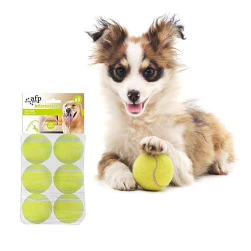 BoT 6X Tennisbälle für große Hunde, Hundespielzeug geeignet für die automatische Ballwurfmaschine für Hunde Ifetch, extra Starke widerstandsfähige Hundebälle (Mini Tennisbälle 6 x 5 cm) von BoT by BlueRoad