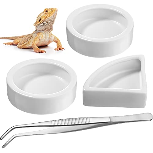 Boao 4-teiliges Reptilien-Futter-/Wassernapf-Set, 2 runde Reptilien-Futterschüssel, 1 Eckwasserschale und 1 Futterzange für Bartdrachen, Leopard, Gecko, Einsiedler, Krabbe, Chamäleon, Eidechse, von Boao