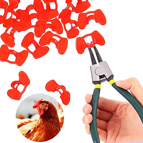 Boao 61 Stück Pinless Peepers für Huhn Peepers Fasan Geflügel Blinders Brillen Anti Picking Brillen Werkzeug für Haustier Mitte von Boao