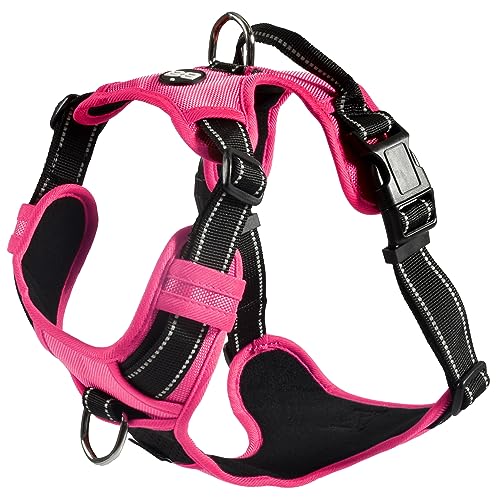 Bobby Rando Walk – Hundegeschirr, Hundegeschirr für mittelgroße, kleine und große Hunde aus Nylon, sicher, bequem, reflektierend, verstellbar, Fuchsia, M/40–63 x 2 cm von Bobby