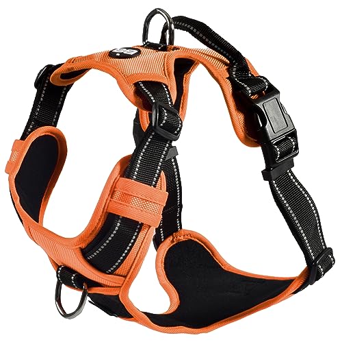 Bobby Rando Walk – Hundegeschirr, Nylon-Hundegeschirr, mittelgroßes, kleines, großes Hundegeschirr, sicher, bequem, reflektierend, verstellbar, Orange, S/32–48 x 1,6 cm von Bobby Canifrance