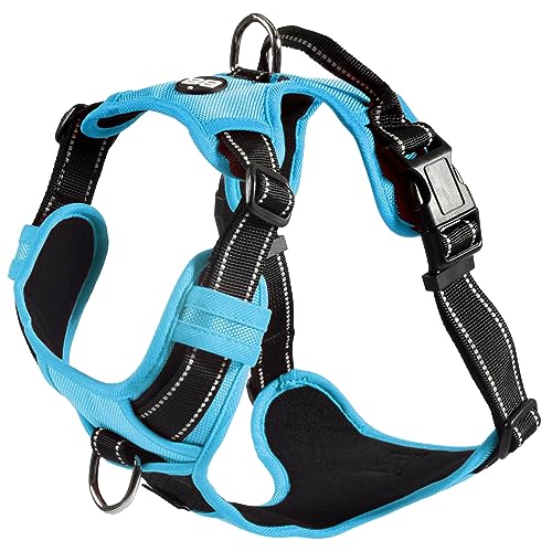 Bobby Rando Walk – Hundegeschirr, Hundegeschirr für mittelgroße, kleine und große Hunde aus Nylon, sicher, bequem, reflektierend, verstellbar, blau, M/40–63 x 2 cm von Bobby