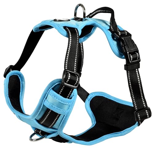 Bobby Rando Walk Hundegeschirr Größe XS, aus reflektierendem Nylon, verstellbare Schnallen mit sicherem Verschluss, einfach zu tragen, Blau, Rundhalsausschnitt 20-32 cm, Brustumfang 36-43 cm von Bobby