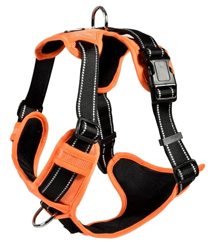 Bobby Rando Walk Hundegeschirr Größe XS, aus reflektierendem Nylon, verstellbare Schnallen mit sicherem Verschluss, einfach zu tragen, Orange Rundhalsausschnitt 20-32 cm, Brustumfang 36-43 cm von Bobby