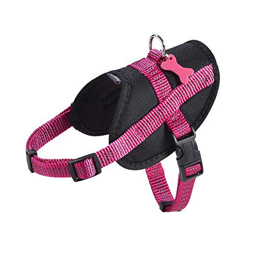 Bobby Easy Safe - Hundegeschirr mit Anhänger, Hundegeschirr für mittelgroße kleine große Hunde aus Nylon, sicher, komfortabel, reflektierend, Fuchsia, 39-50x1,6 cm von Bobby