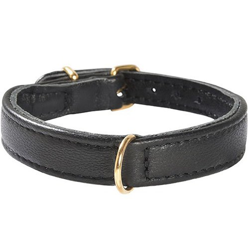 Bobby Halsband Evasion, Größe 45, schwarz von Bobby