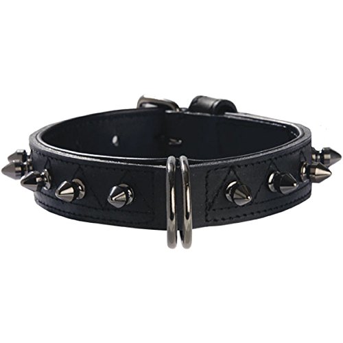 Bobby Halsband Hercule, Größe 35, schwarz von Bobby