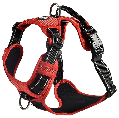 Bobby Rando Walk – Hundegeschirr, Hundegeschirr für mittelgroße, kleine und große Hunde aus Nylon, sicher, bequem, reflektierend, verstellbar, Rot, S/32–48 x 1,6 cm von Bobby