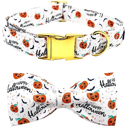 Bobo Rainbow Halloween Hundehalsband, Haustier Halsband Hund Schleife Kürbis Hundehalsband Mädchen Junge Urlaub Haustier Hundehalsband Geschenk Schleife Hundehalsband Niedlich Weich Welpenhalsband für von Bobo Rainbow