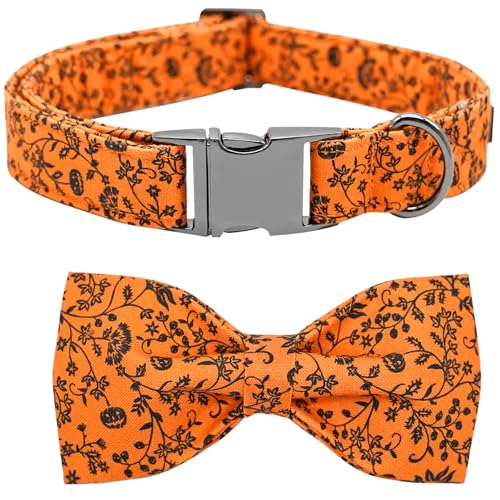 Bobo Rainbow Halloween Hundehalsband, Haustier Halsband Hund Schleife Kürbis Hundehalsband Mädchen Junge Urlaub Haustier Hundehalsband Geschenk Schleife Hundehalsband Niedlich Weich Welpenhalsband für von Bobo Rainbow