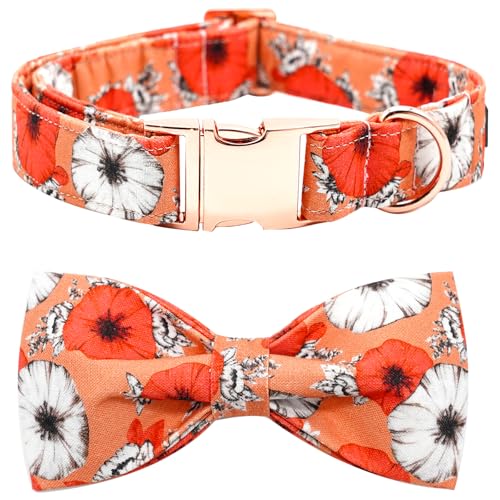 Bobo Rainbow Herbst Hundehalsband, Haustier Halsband Hund Schleife Floral Hundehalsband Mädchen Junge Urlaub Haustier Hundehalsband Geschenk Schleife Hundehalsband Niedlich Weich Welpenhalsband für von Bobo Rainbow