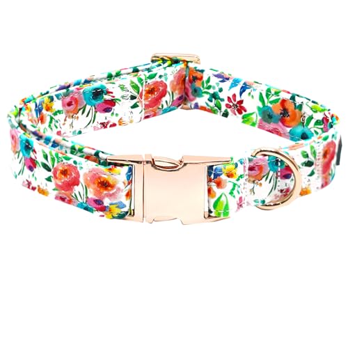 Bobo Rainbow Hundehalsband, Blumendruck, langlebiges Metallhalsband, niedliches Hundehalsband, verstellbares Hundehalsband für mittelgroße Hunde von Bobo Rainbow