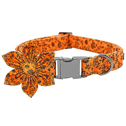 Bobo Rainbow Hundehalsband, Halloween Hundehalsband mit Blume Kürbis Haustier Halsband Blume Welpen Halsbänder Niedliche Haustier Blume Verstellbares Hundehalsband für X-Small Welpen von Bobo Rainbow