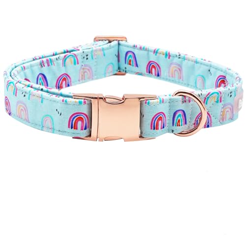 Bobo Rainbow Hundehalsband, Regenbogen-Druck, Haustierhalsband, strapazierfähiges Metallhalsband, niedliches Mädchen, Hundehalsband, verstellbares Hundehalsband für mittelgroße Hunde von Bobo Rainbow