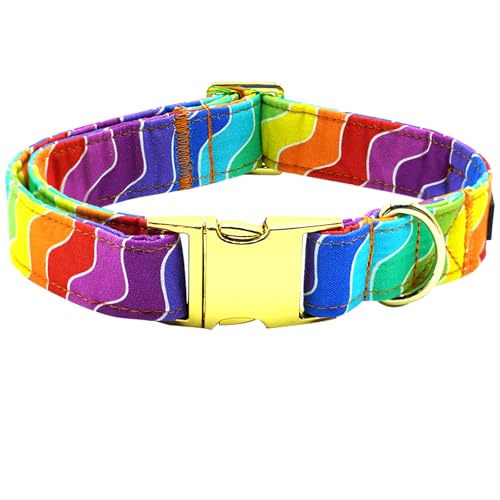 Bobo Rainbow Hundehalsband, Regenbogen-Hundehalsband, LGBT für Stolzmonat, langlebiges Metall, Haustierhalsband, niedliches Mädchen, Jungen, Hundehalsbänder, verstellbares Hundehalsband für kleine, von Bobo Rainbow