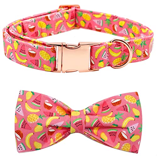 Bobo Rainbow Hundehalsband, Sommer Obst Druck Verstellbares Hundehalsband Mädchen oder Jungen Haustier Halsband Fliege Duarble Hundehalsbänder für kleine, mittelgroße und große Hunde von Bobo Rainbow