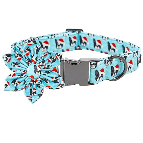 Bobo Rainbow Hundehalsband, Weihnachten Hundehalsband mit Blume Blau Haustier Halsband Blumen Urlaub Hundehalsband Mädchen Junge Hundehalsband Welpenhalsband Verstellbares Hundehalsband für Mittlere von Bobo Rainbow