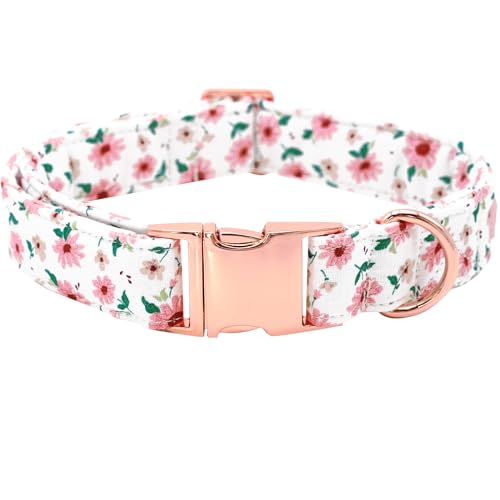 Bobo Rainbow Hundehalsband, rosa Blume, Hundehalsband, langlebiges Metallhalsband, niedliches Mädchen, verstellbares Hundehalsband für X-Small Hunde von Bobo Rainbow