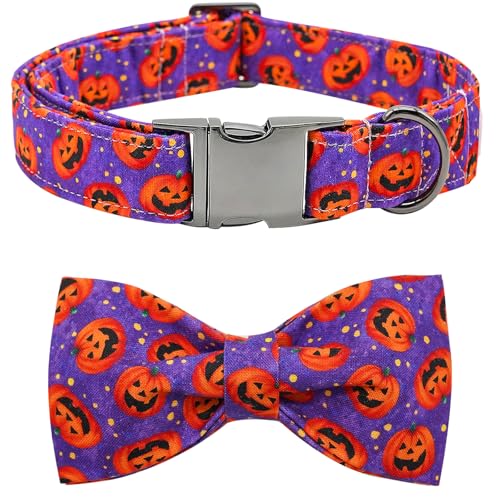 Bobo Rainbow Hundehalsband - Halloween Kürbis Fliege Hundehalsband Geschenk Weiche Schleife Halsband Haustier Verstellbare Metallschnalle Hundehalsband für X-kleine Hunde von Bobo Rainbow