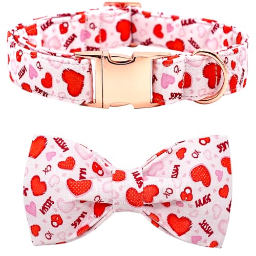 Bobo Rainbow Hundehalsband - Valentinstag Hundehalsband Schleifen für Hunde Schleife Rosa Verstellbares Hundehalsband Mädchen Haustier Geschenk Frühling Hundehalsband für Mittlere Kleine Große Hunde von Bobo Rainbow