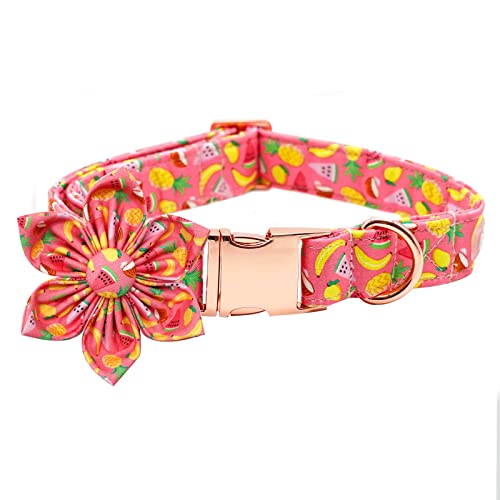 Bobo Rainbow Hundehalsband mit Blume, Sommer Obst Verstellbar Hund Blume Schleife Halsband Weibliches Mädchen Haustier Halsband Niedliche Blumen Duarmor Hundehalsbänder für X-Large Hund von Bobo Rainbow