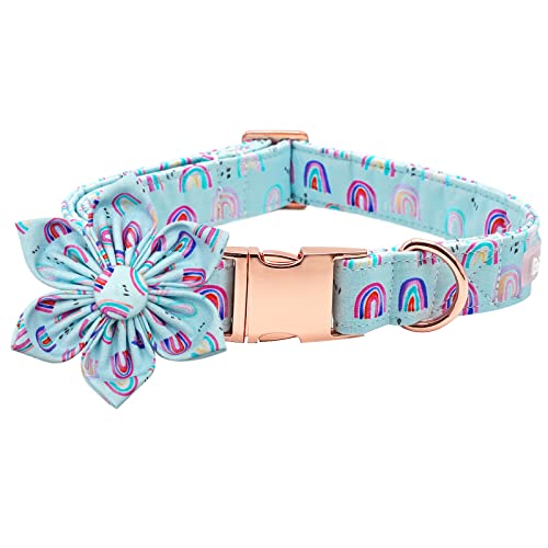 Bobo Rainbow Hundehalsband mit Blume, Sommer Obst Verstellbares Hundehalsband Blume Schleife Halsband Weibliches Mädchen Haustier Halsband Niedliche Blumen Duarble Hundehalsbänder für X-Small Welpen von Bobo Rainbow