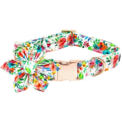 Bobo Rainbow Hundehalsband mit Blumendruck, weich, niedlich, mit Blume, verstellbare Metallschnalle, Halsband für X-Small Hunde von Bobo Rainbow