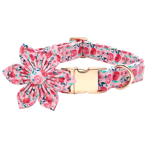 Bobo Rainbow Hundehalsband mit niedlichem rosa Blumendruck, weiches Mädchen-Hundehalsband mit Blume, verstellbare Metallschnalle, Halsband, Geschenkhalsband für XL-Hunde von Bobo Rainbow