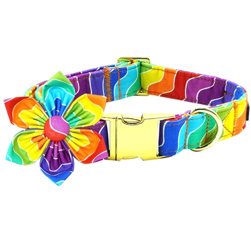 Regenbogen-Hundehalsband, Regenbogenstreifen, Halsband mit Blume für LGBT Pride Monat, Urlaub, Hundehalsband, Blumen, verstellbares Halsband für kleine, mittelgroße und große Hunde von Bobo Rainbow