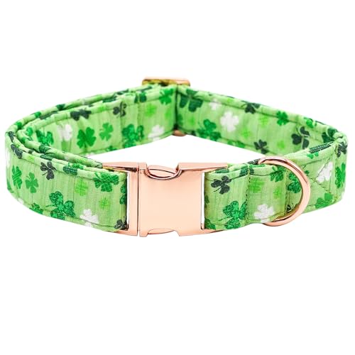 Bobo Rainbow Saint Patrick's Day Hundehalsbänder, Glücksklee Haustierhalsband, Hundehalsband, langlebiges Metallhalsband, niedliches Hundehalsband, verstellbares Hundehalsband für mittelgroße Hunde von Bobo Rainbow