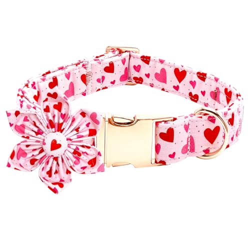 Bobo Rainbow Valentinstag Hundehalsband mit Blumen-Rotem Herz Hundehalsband Niedlich Einstellbar Haustier Halsband Bequem Hundehalsband Baumwolle Urlaub Welpenhalsband Metallschnalle Halsband Geschenk von Bobo Rainbow