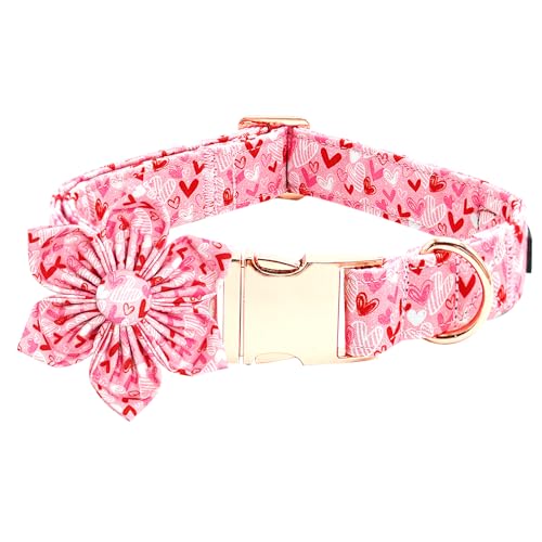 Bobo Rainbow Valentinstag Hundehalsband mit Blumenschnitt Liebe Herz Hundehalsband Verstellbares Haustier Halsband Rosa Bequem Hundehalsband Urlaub Baumwolle Welpenhalsband Metallschnalle Halsband von Bobo Rainbow