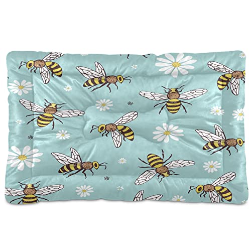 Bienen-Insekten Haustierbett Matte Weiß Gänseblümchen Floral Hund Katze Käfig Matte Hundebett 24 x 36 Haustier Kissen Kissen Pad für mittelgroße kleine Welpen Schlafen von Boccsty