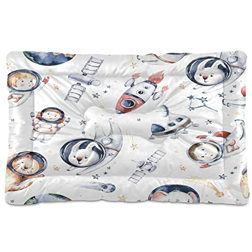 Boccsty Astronaut Bunny Planet Haustierbett Matte Rakete Mond Hund Katze Kiste Matte Hundebett 61 x 91 cm Haustier Kissen Kissen Kissen Pad für mittelgroße kleine Welpen Schlafen von Boccsty