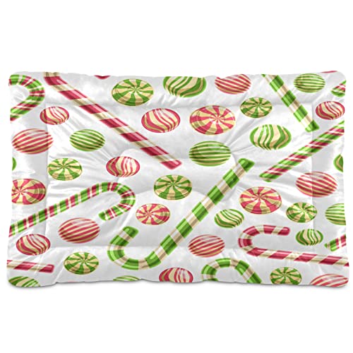 Candy Fruit Candies Weihnachten Zuckerstangen Haustier Bett Matte Hund Katze Kiste Matte Hundebett 61 x 91 cm Haustier Kissen Kissen Pad für Medium Kleine Welpen Schlafen von Boccsty