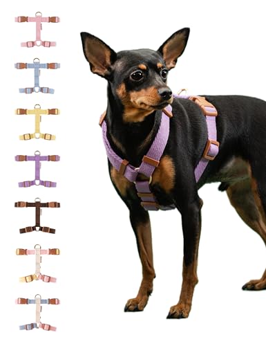 BODDLELANG H-Typ Easy Walk Hundegeschirr für mittelgroße Hunde, kein Ziehen, ausbruchsicheres Geschirr für Hunde, verstellbares violettes Hundegeschirr, mittelgroßes Hund | Hundegeschirr-Zubehör (M2, von Boddlelang
