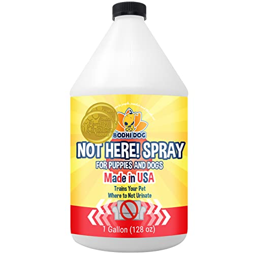 Bodhi Dog Not Here! Spray,Trainiert Ihr Haustier wo es nicht uriniert wird,Abwehr- & Trainingskorrektor für Welpen & Hunde,Für Innen & Außen,Keine Markierung mehr,Hergestellt in den USA (Gallon) von Bodhi Dog