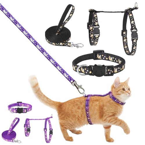 2 Stück Katzengeschirr mit Leine Halsband Set, Verstellbare Nylon Geschirre Katzenleine mit Einstellbaren Reflektierenden Streifen für Kleine Katzen Welpe Outdoor Garten Walking Training Spielen von Bodorma