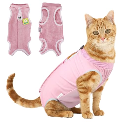 Cat Clothes Katzenchirurgie Recovery Anzug, Katzenpost Bodysuit für medizinische Spay Abdominal Wunden Hautkrankheiten Schutz, Anti Leck Kitten Alternative Entwöhnen Pyjama Kleidung von Bodorma