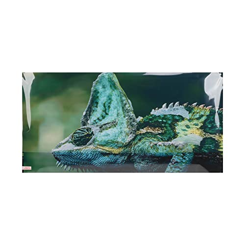 Bognajin Aquarium-Hintergrund, PVC-3D-Aufkleber, Aquarium-Dekorationsbild, Selbstklebender Mehrzweck-Aquarium-Hintergrund zur Verschönerung von Aquarien (122 * 50CM) von Bognajin