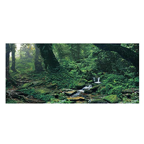 Bognajin PVC-Klebe-Aquarium-Poster, Riverway Green Woods-Hintergrundaufkleber für die Dekoration von Aquarien, wasserdichtes und stabiles Material, einfach mit Selbstkleber anzubringen, (122 * 46cm) von Bognajin