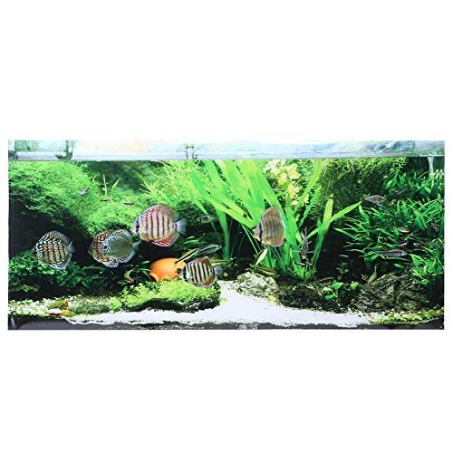 Bognajin PVC-Kleber, Meeresboden, kleine Fische, Wasserpflanzen, Aquarium-Hintergrund-Poster-Aufkleber, Aquarium-Dekoration mit Selbstklebung, hohe Transparenz, robust und Lange (122 * 50cm) von Bognajin